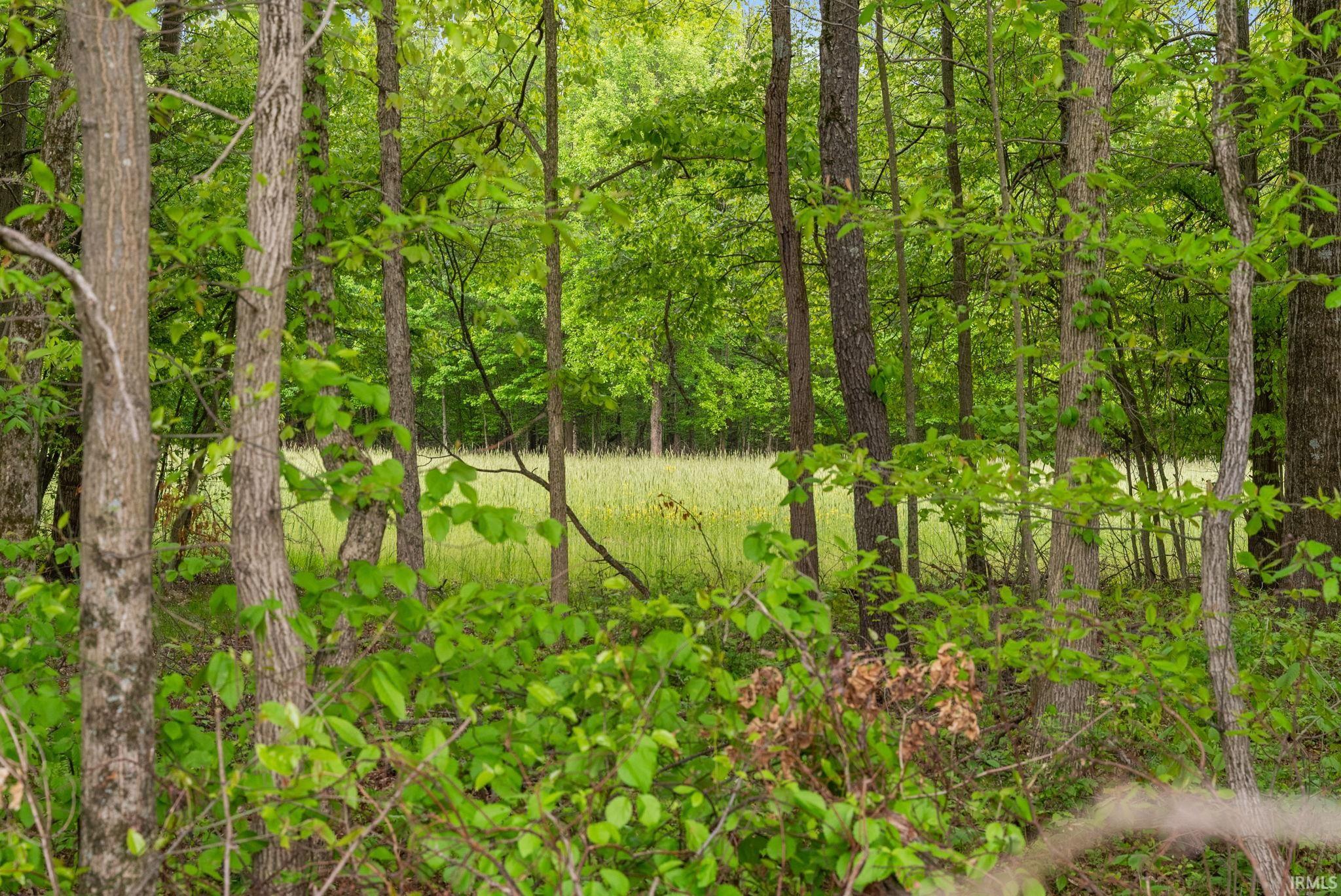 13960 North Rock Run Church Road Rosedale, IN 47874 - Photo 41 of 50