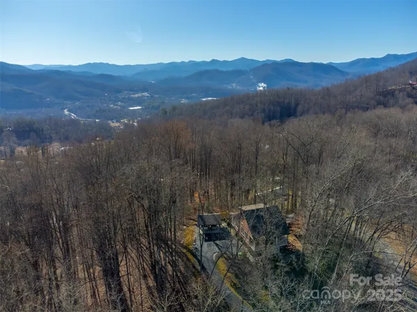 a view of a forest with mountains in the background