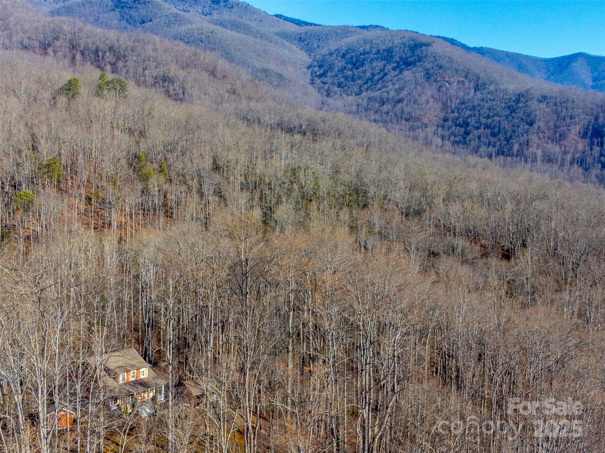 1226 Monteith Branch Road Sylva, NC 28779 - Photo 4 of 40 a view of a dry field