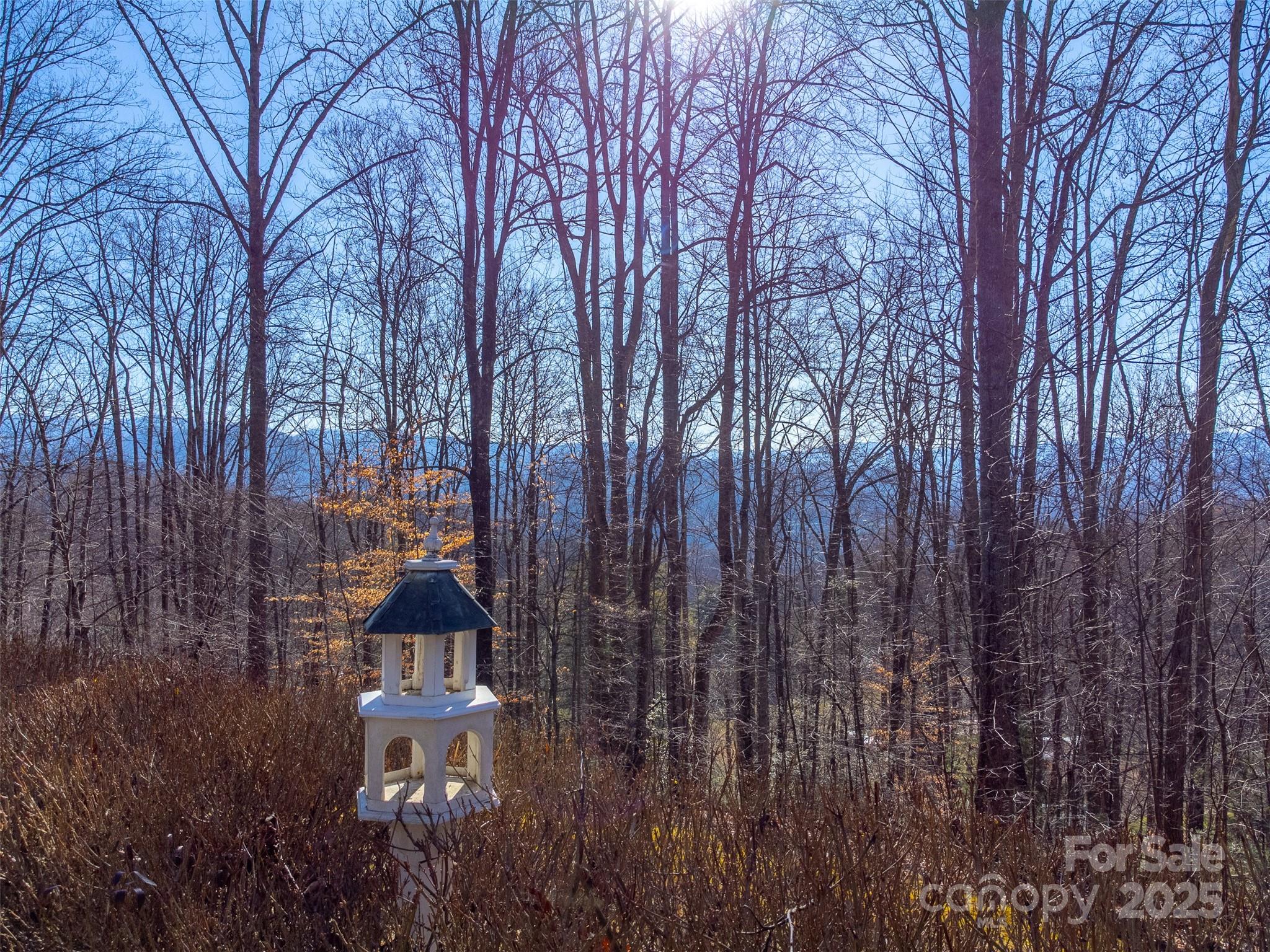 1226 Monteith Branch Road Sylva, NC 28779 - Photo 6 of 40 a city view with tall trees