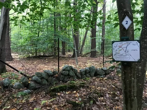 a view of a bench in a garden