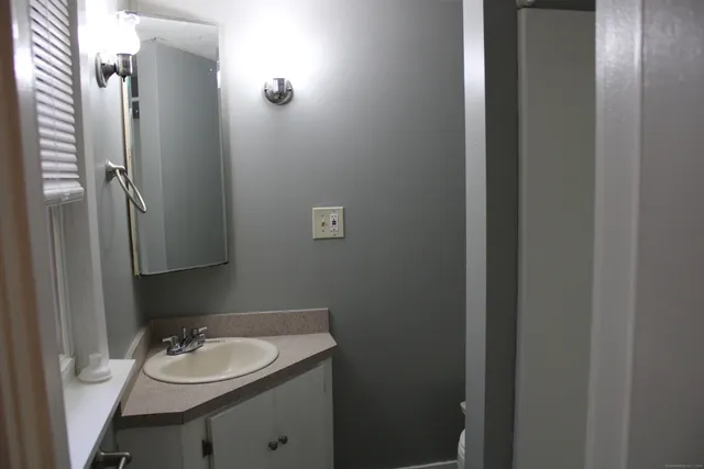 a bathroom with a sink and a mirror