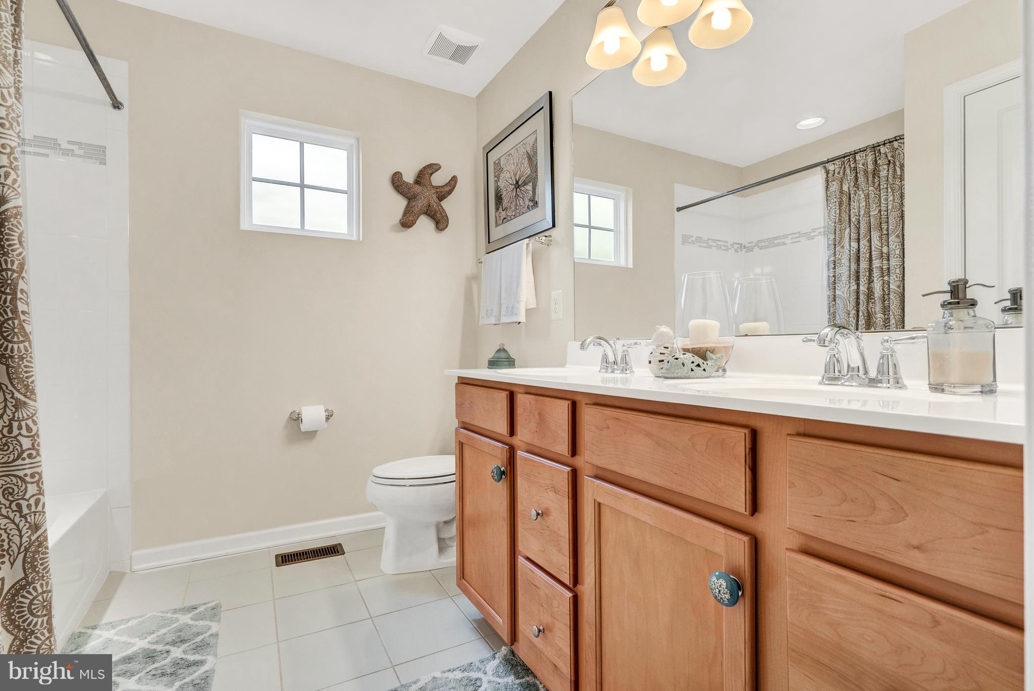 1185 Brittle Ridge Road Warrenton, VA 20187 - Photo 19 of 30 Bath (Master)