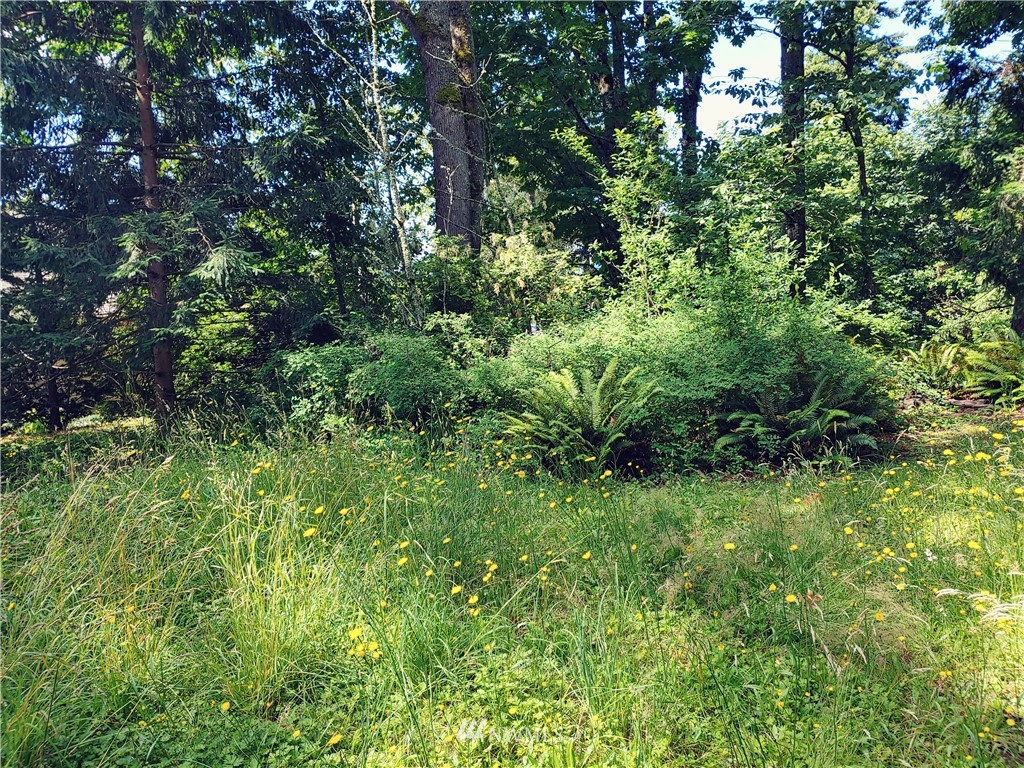 0 Samish Way Bellingham, WA 98229 - Photo 2 of 8 Gallery Image 2