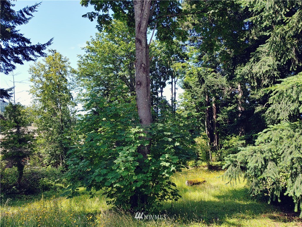 0 Samish Way Bellingham, WA 98229 - Photo 3 of 8 Gallery Image 3