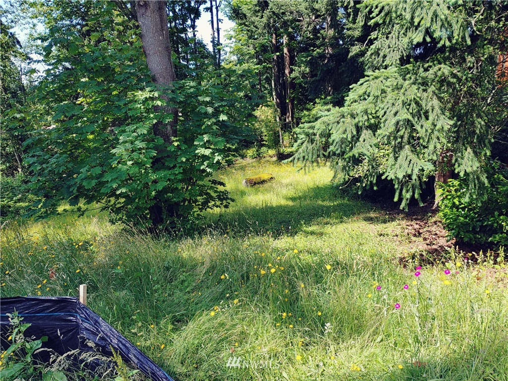 0 Samish Way Bellingham, WA 98229 - Photo 8 of 8 Gallery Image 8