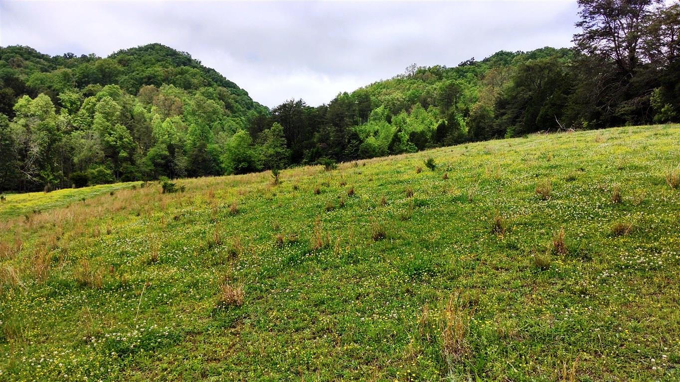 0 Brewers Chapel Road Sneedville, TN 37869 - Photo 1 of 11 IMG_20140511_135406628_HDR