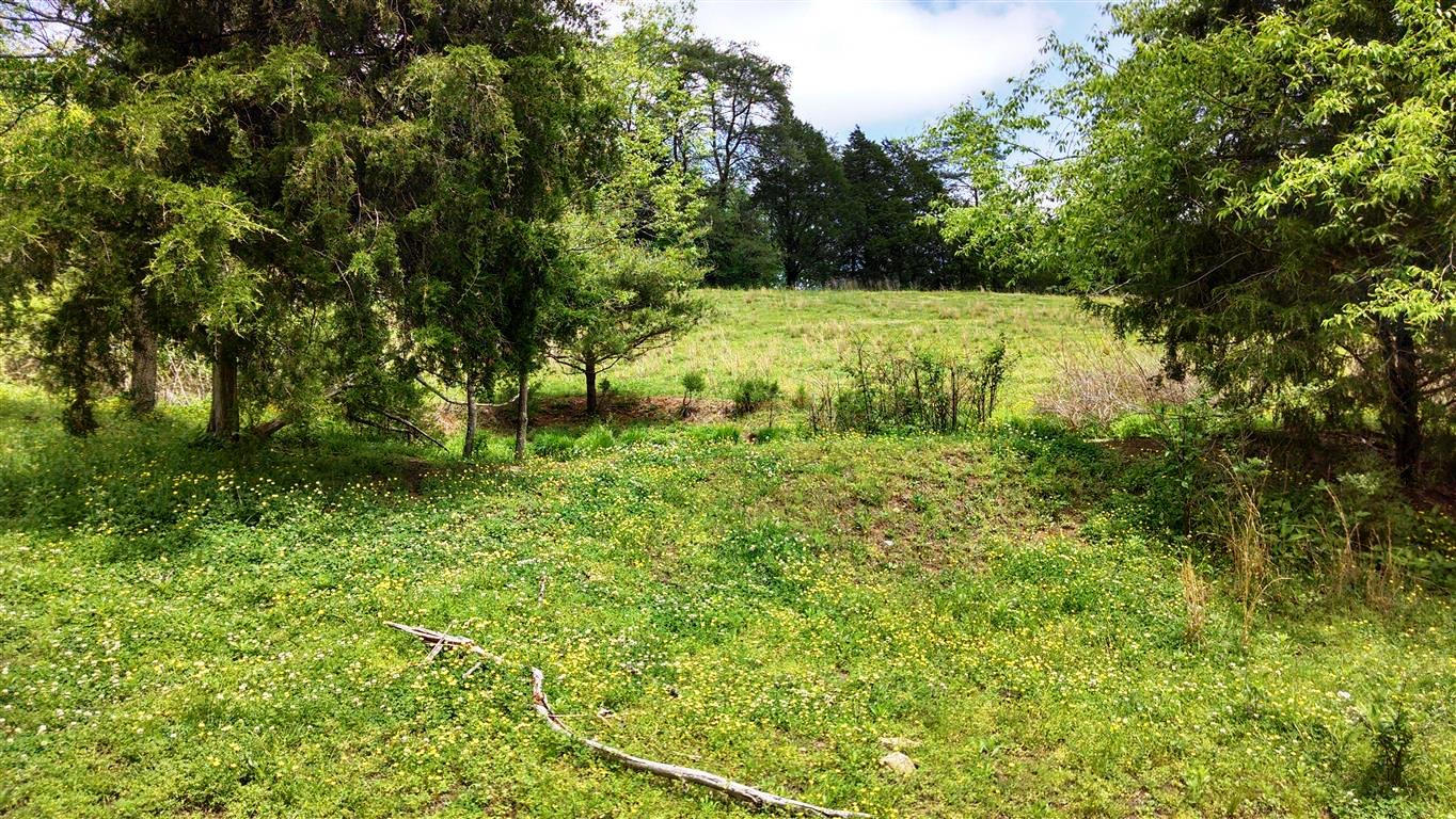 0 Brewers Chapel Road Sneedville, TN 37869 - Photo 10 of 11 IMG_20140511_135615468_HDR