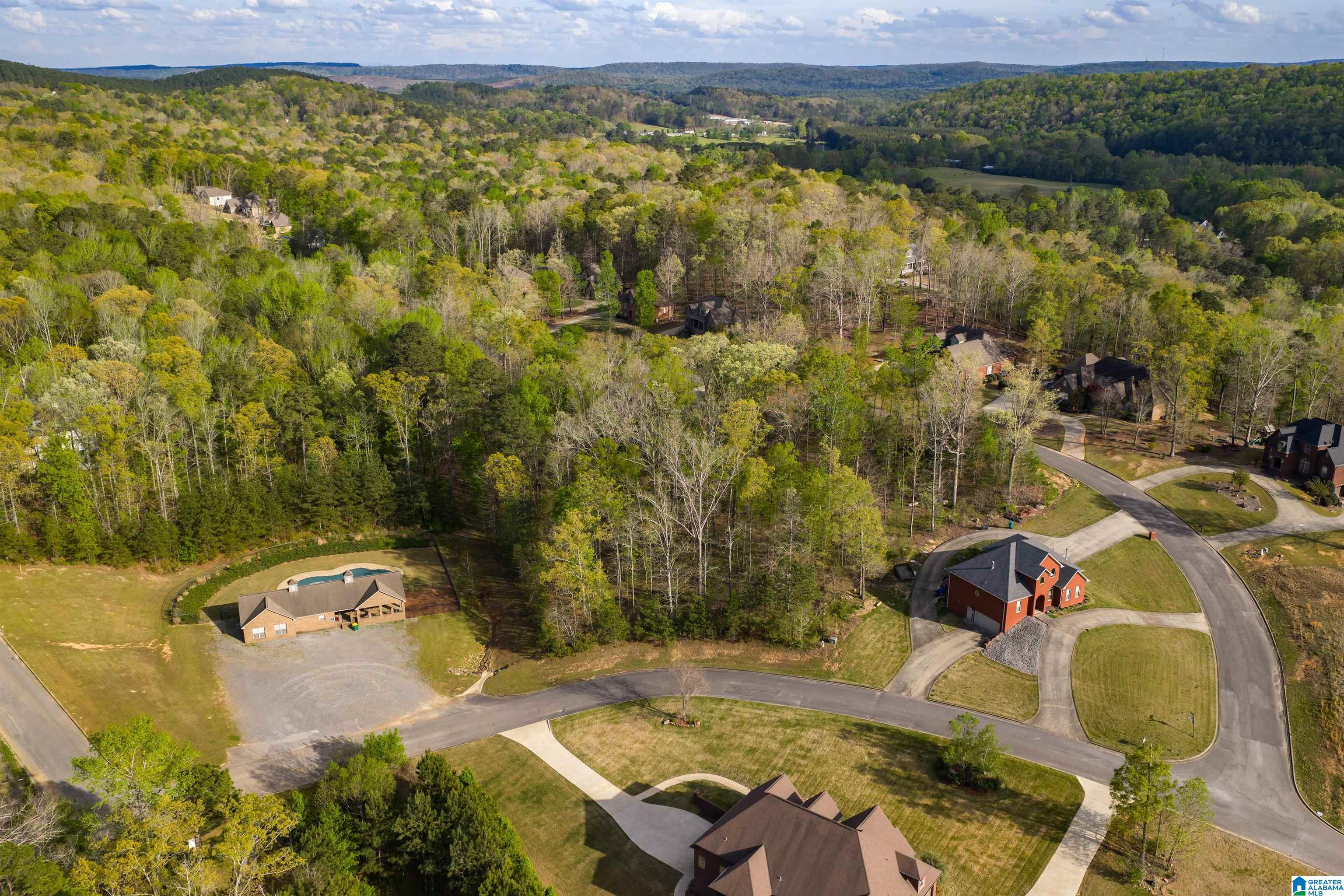 80 Preserve Way, Unit 72 Springville, AL 35146 - Photo 9 of 22