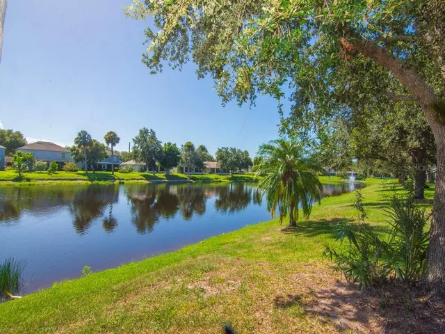 a view of a lake in between two chairs