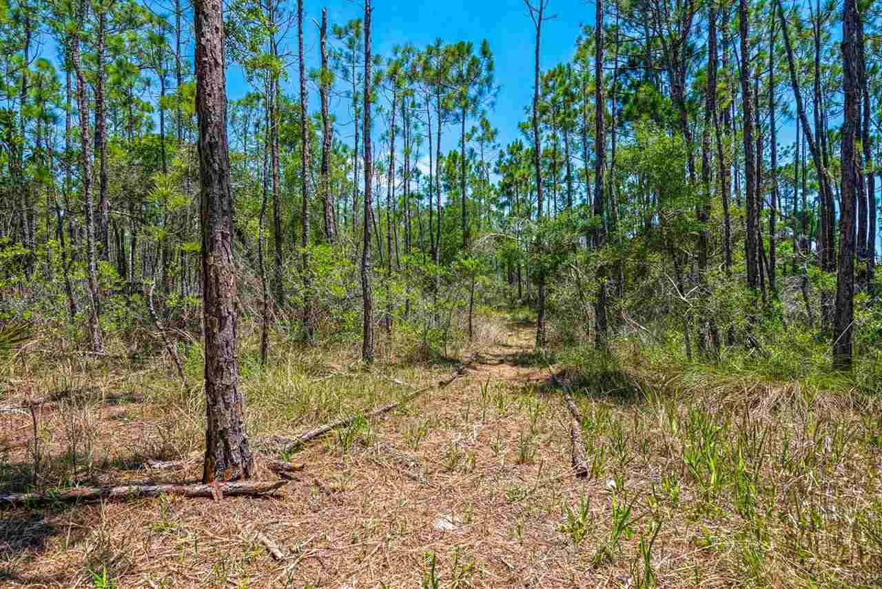 3652 Quail Run Road Gulf Breeze, FL 32563 - Photo 12 of 45 Gallery Image 12