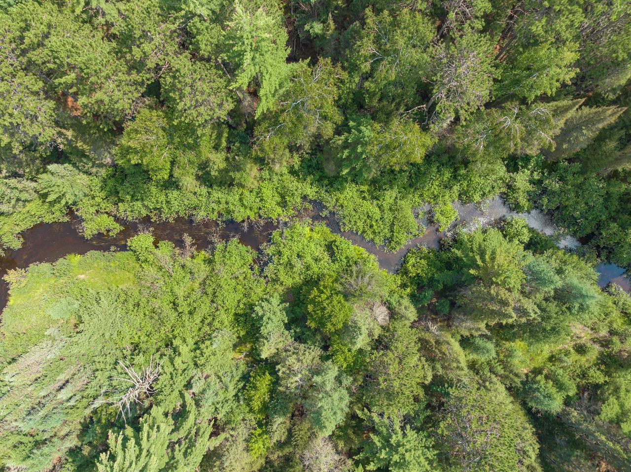 1.7-ac On Pit Road Eagle River, WI 54521 - Photo 2 of 4 Gallery Image 2