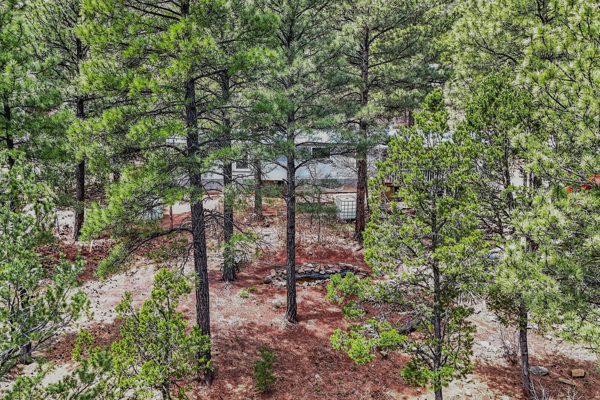 88 Pinon Ridge Road Pecos, NM 87552 - Photo 32 of 37