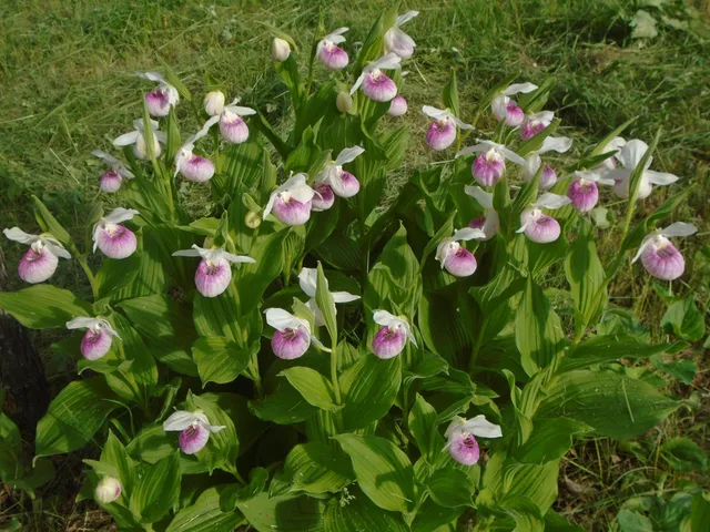 $389,000 | 21280 State 92, Bagley, MN 56621