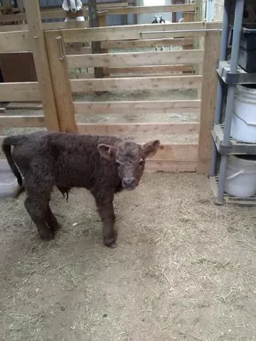 $389,000 | 21280 State 92, Bagley, MN 56621