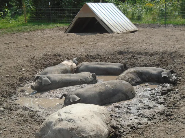 $389,000 | 21280 State 92, Bagley, MN 56621