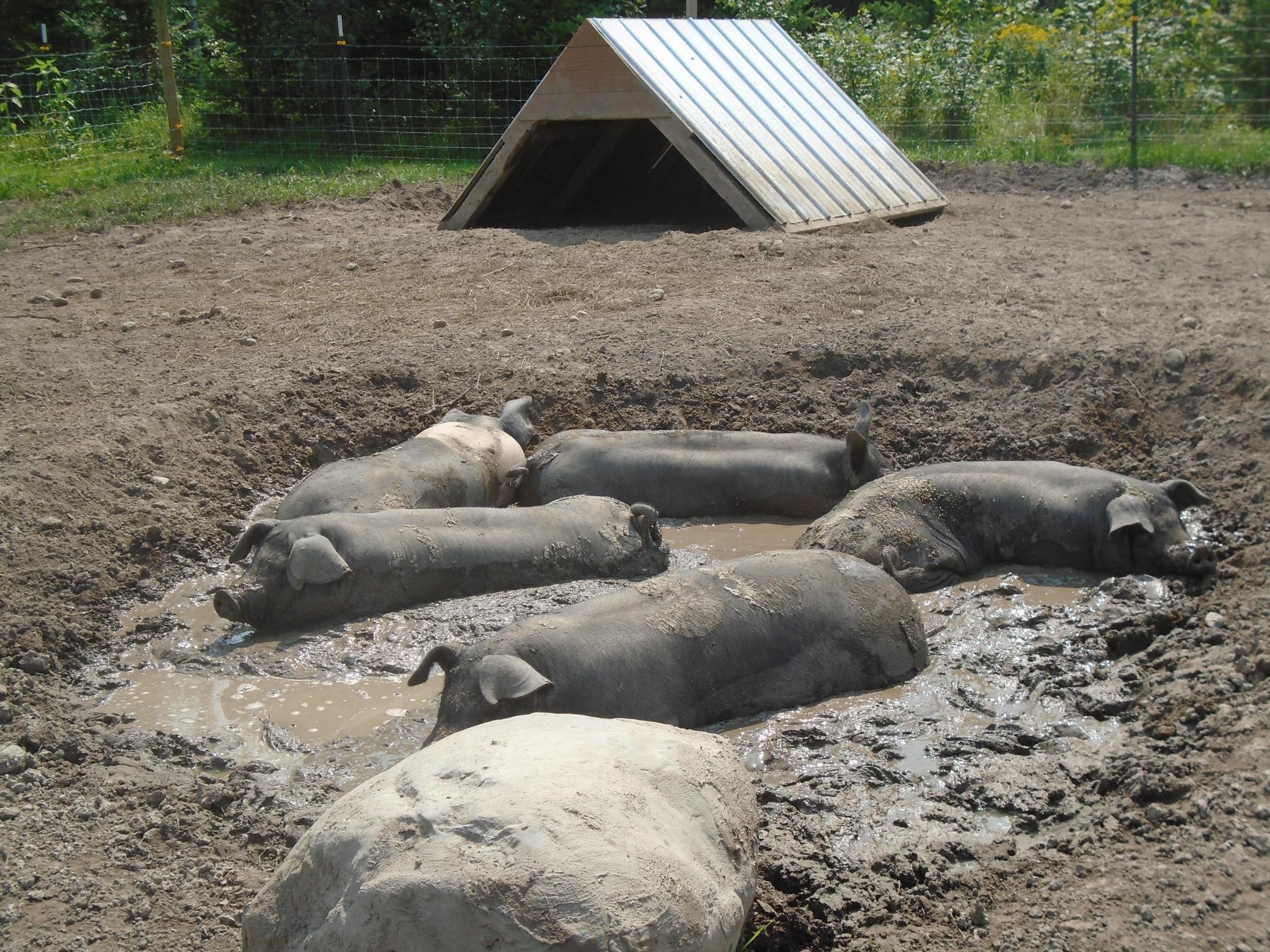 21280 State 92 Bagley, MN 56621 - Photo 105 of 111