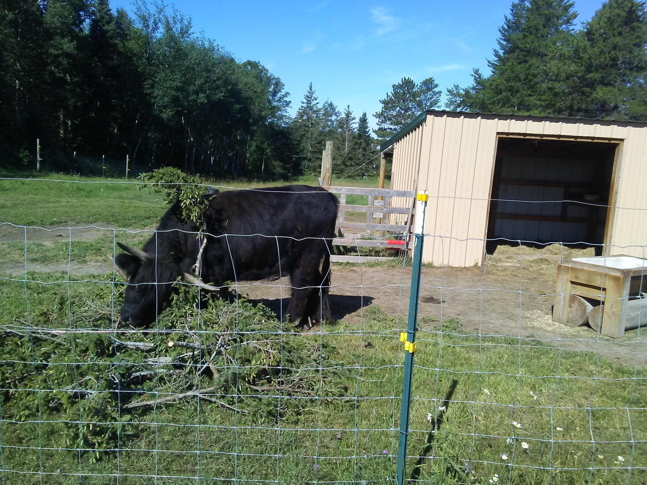 21280 State 92 Bagley, MN 56621 - Photo 106 of 111