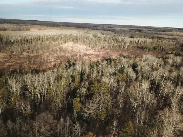 $389,000 | 21280 State 92, Bagley, MN 56621