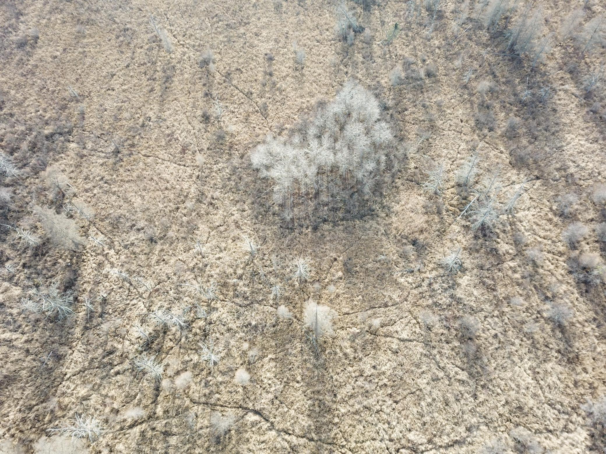 21280 State 92 Bagley, MN 56621 - Photo 19 of 111