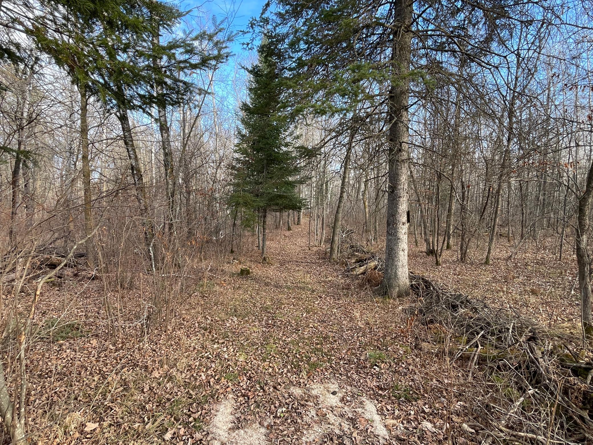 21280 State 92 Bagley, MN 56621 - Photo 89 of 111