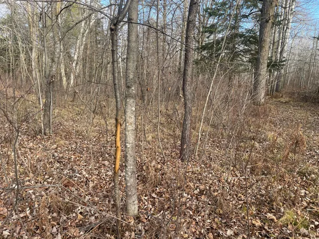 $389,000 | 21280 State 92, Bagley, MN 56621