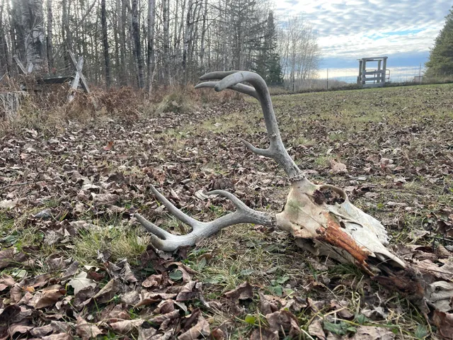 $389,000 | 21280 State 92, Bagley, MN 56621