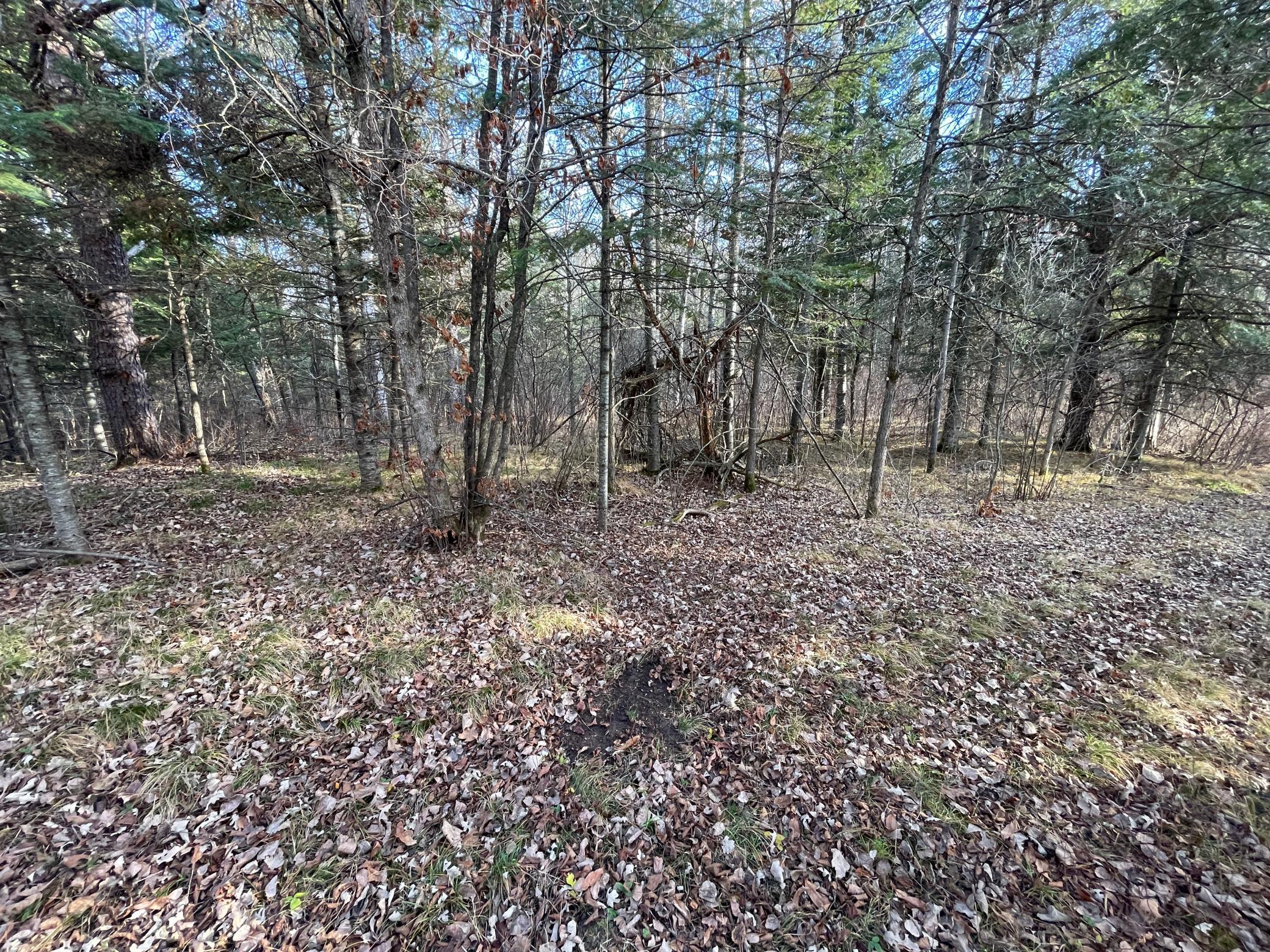 21280 State 92 Bagley, MN 56621 - Photo 93 of 111