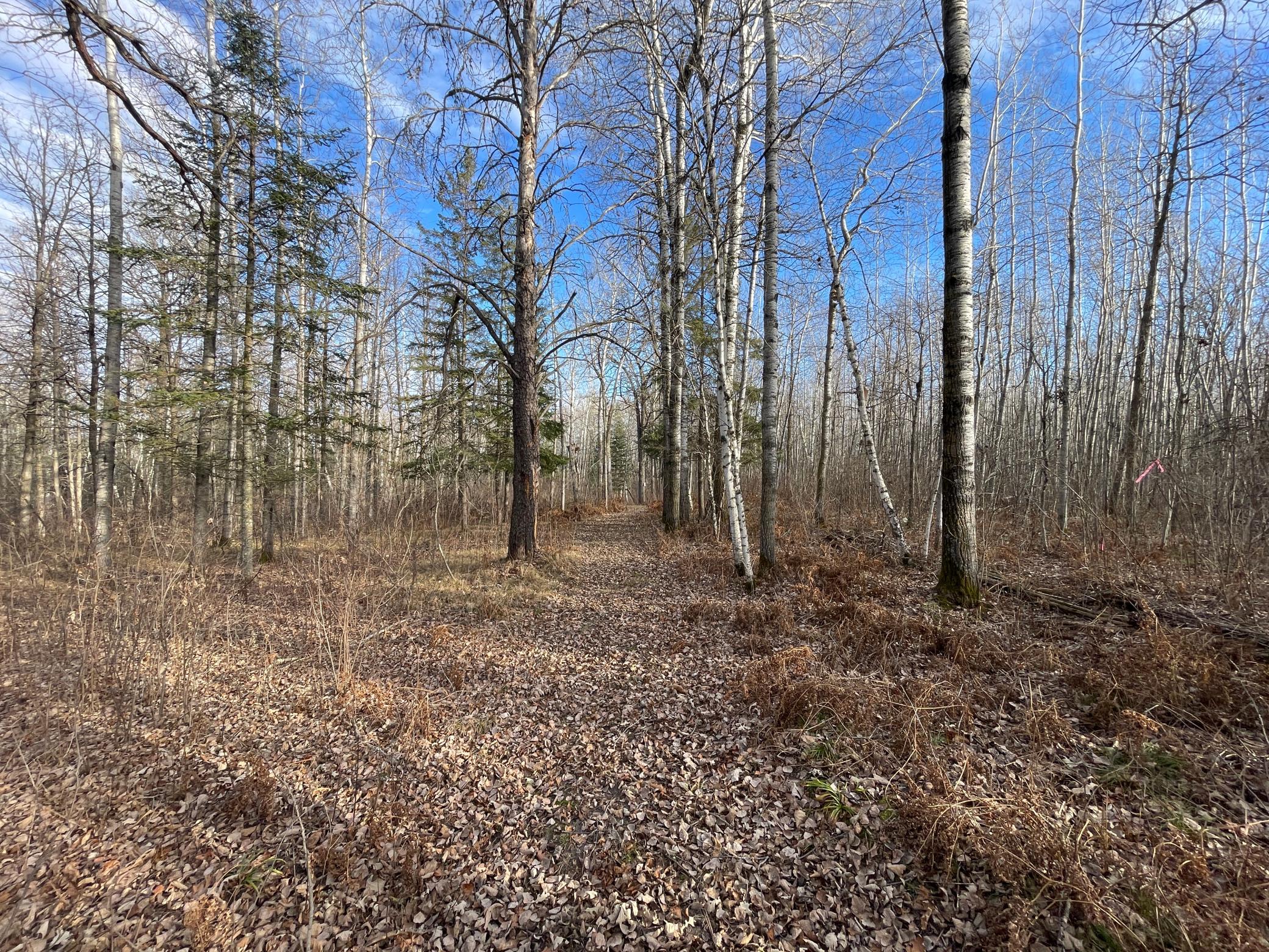 21280 State 92 Bagley, MN 56621 - Photo 94 of 111