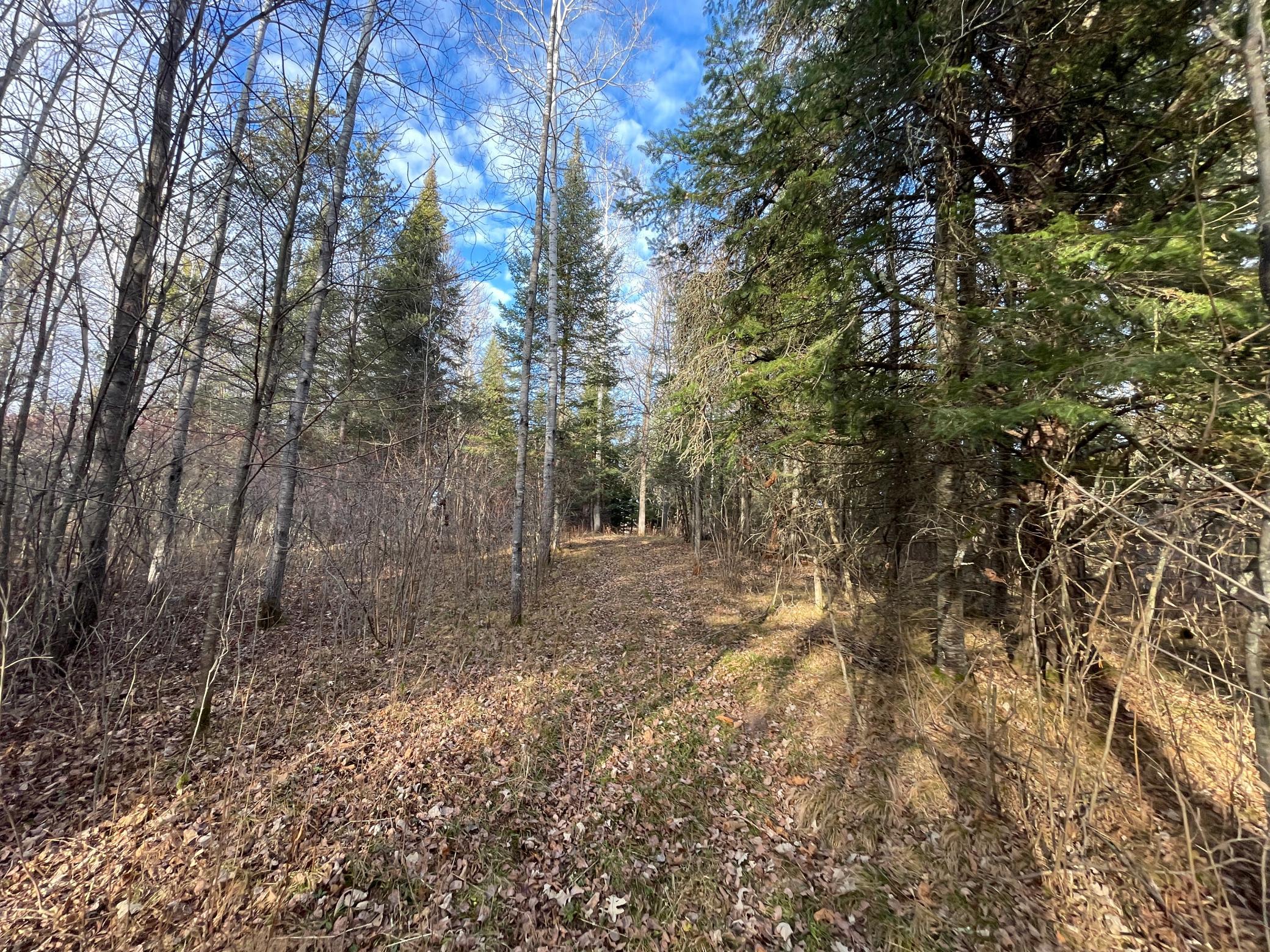 21280 State 92 Bagley, MN 56621 - Photo 95 of 111