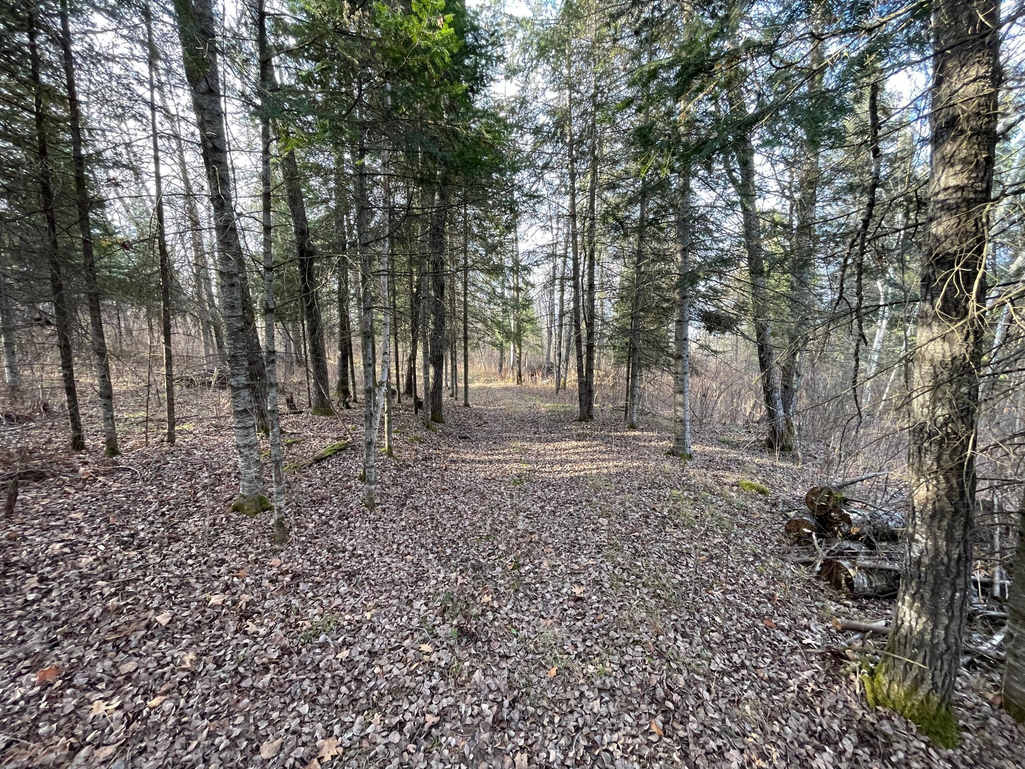 21280 State 92 Bagley, MN 56621 - Photo 96 of 111