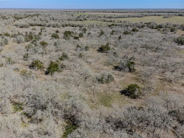 a view of a field with an ocean