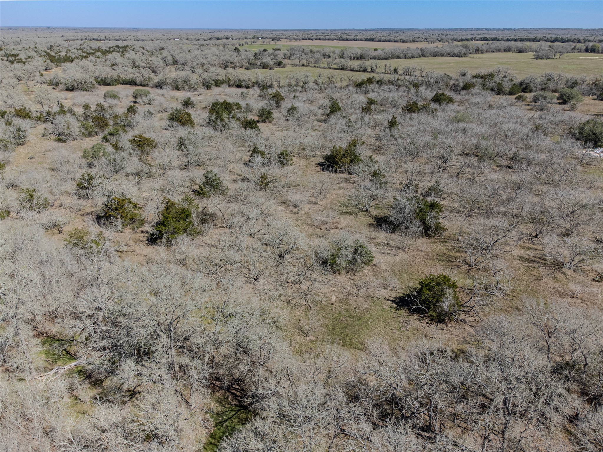 Nikel-mica Rd Flatonia Tx 78941 Road Flatonia, TX 78941 - Photo 11 of 19 a view of a dry yard