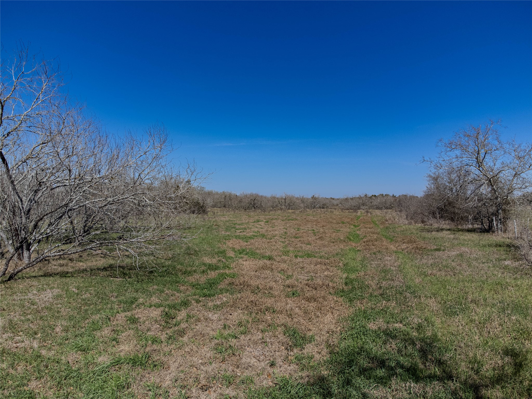 Nikel-mica Rd Flatonia Tx 78941 Road Flatonia, TX 78941 - Photo 13 of 19 a view of a field with an ocean