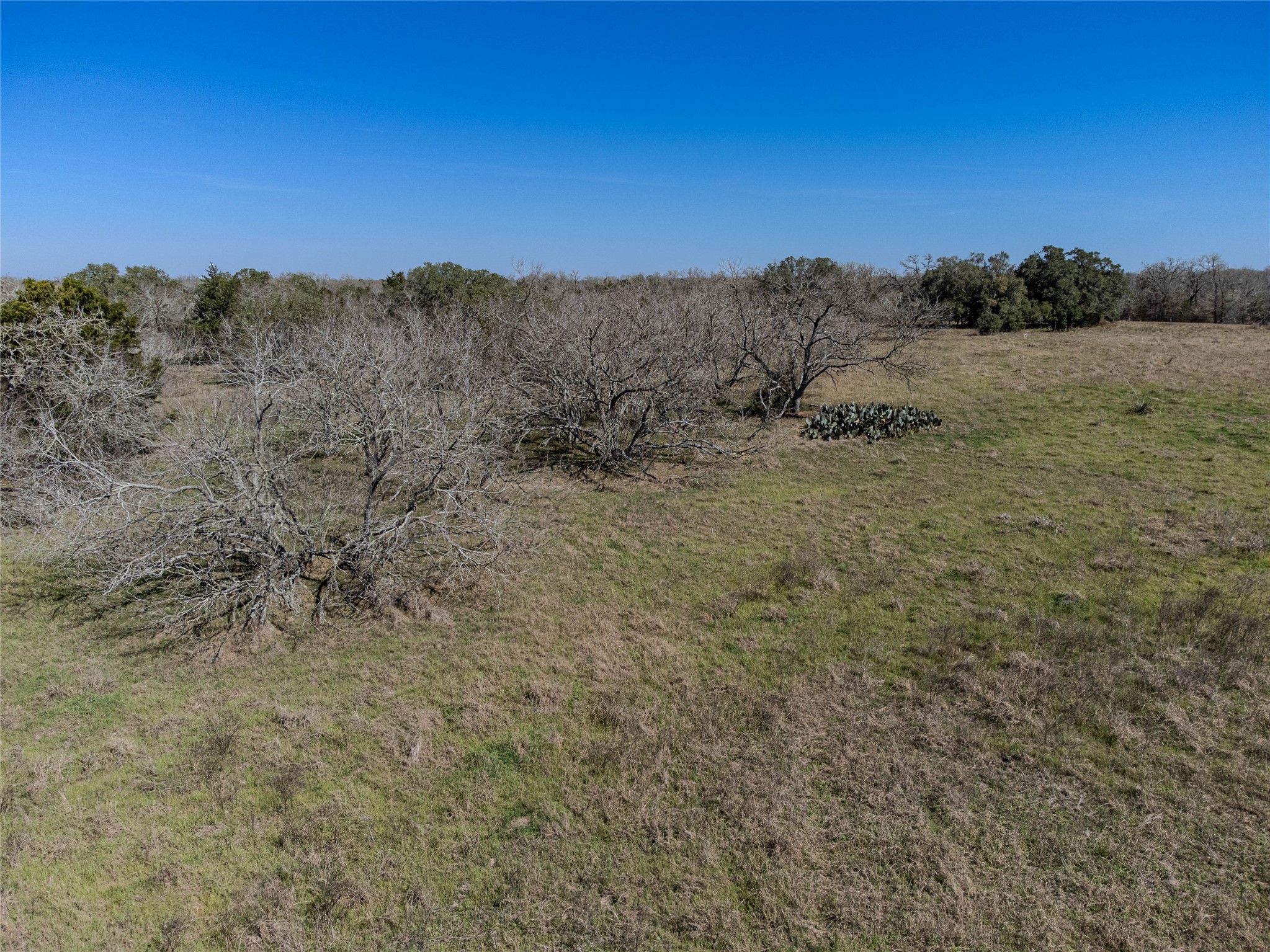 Nikel-mica Rd Flatonia Tx 78941 Road Flatonia, TX 78941 - Photo 15 of 19 a view of mountain