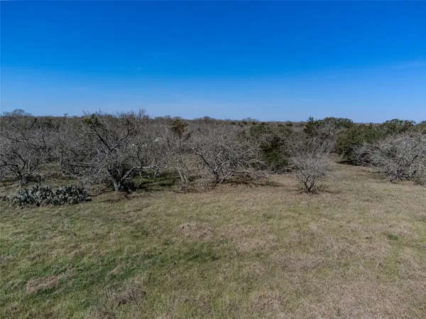 a view of a dry yard with green space