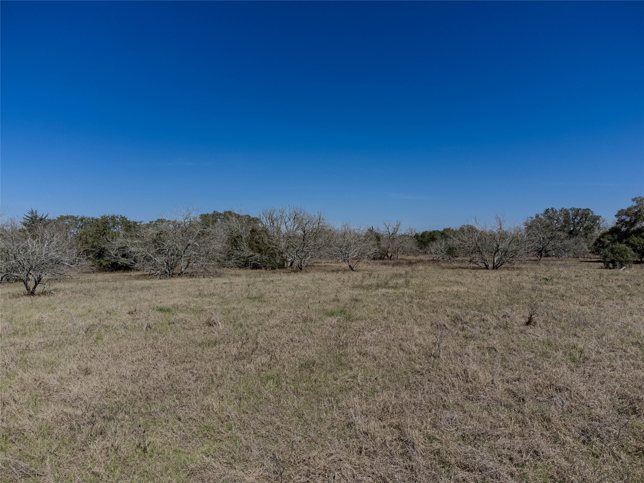 Nikel-mica Rd Flatonia Tx 78941 Road Flatonia, TX 78941 - Photo 17 of 19 a view of an outdoor space and a yard