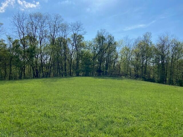 2451 Sardis Road Mount Olivet, KY 41064 - Photo 37 of 42