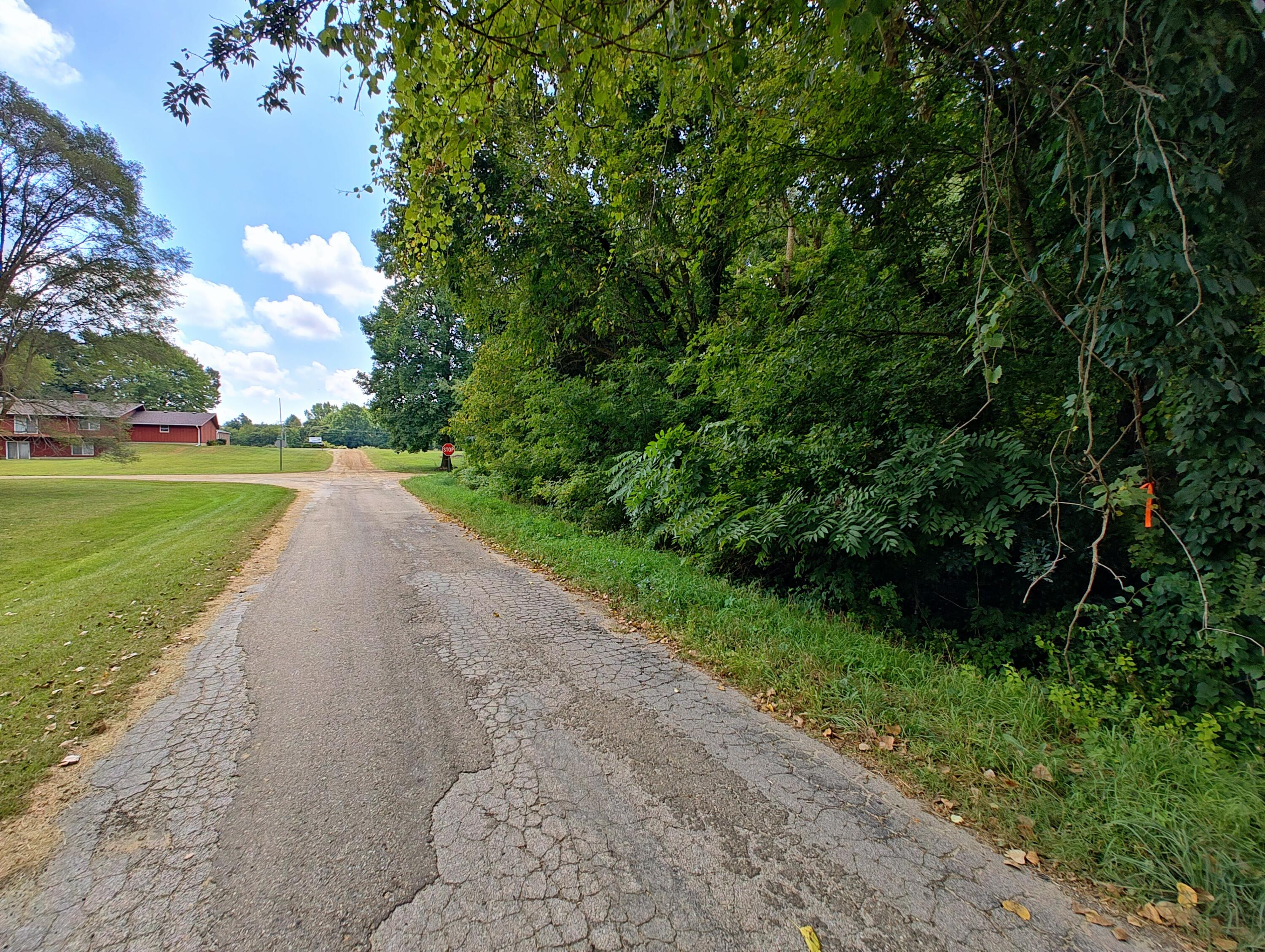 Vl Clinton Road Benton Harbor, MI 49022 - Photo 2 of 13 IMG_20240829_130246206_HDR