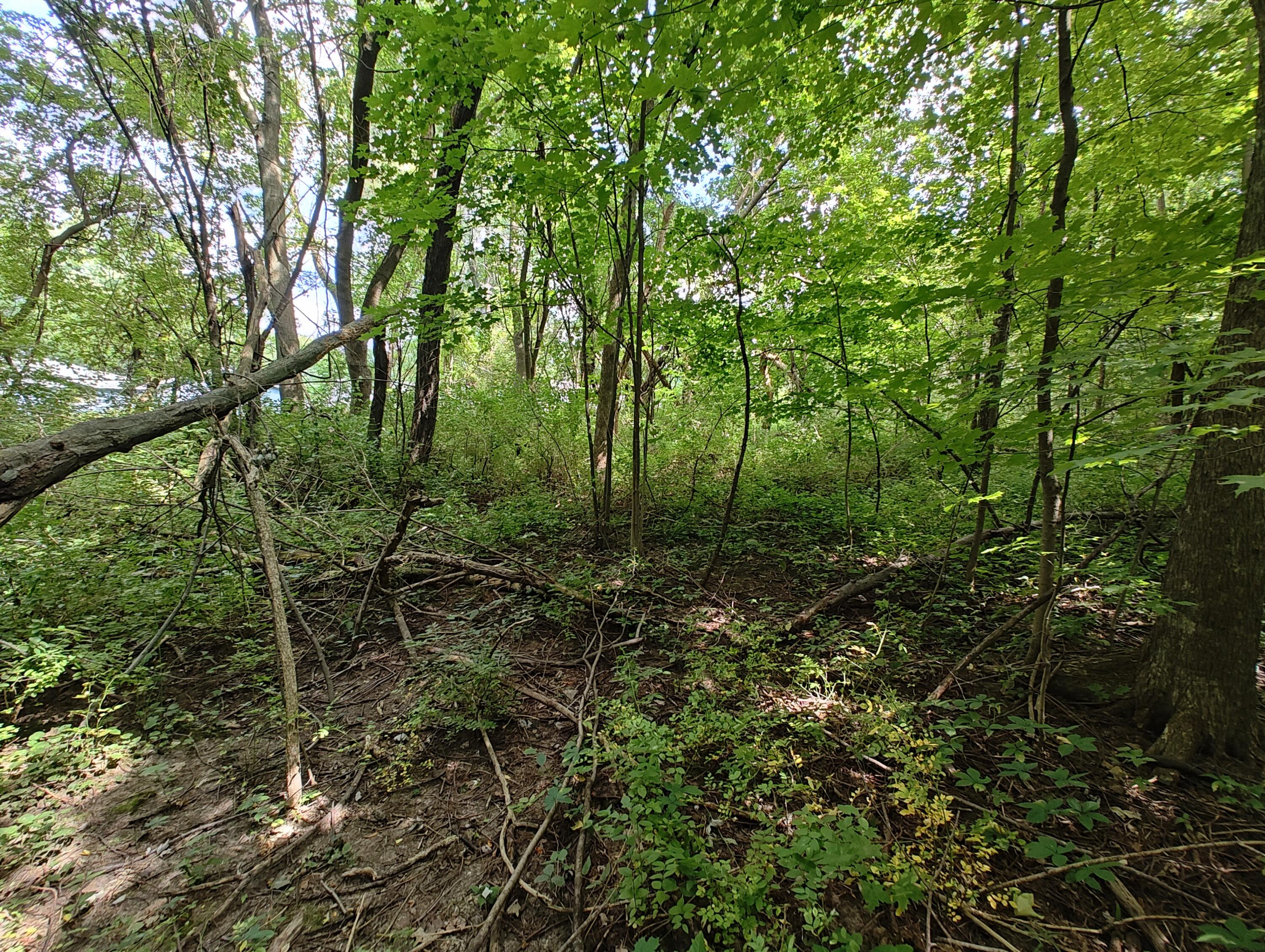 Vl Clinton Road Benton Harbor, MI 49022 - Photo 5 of 13 IMG_20240829_125731331_HDR