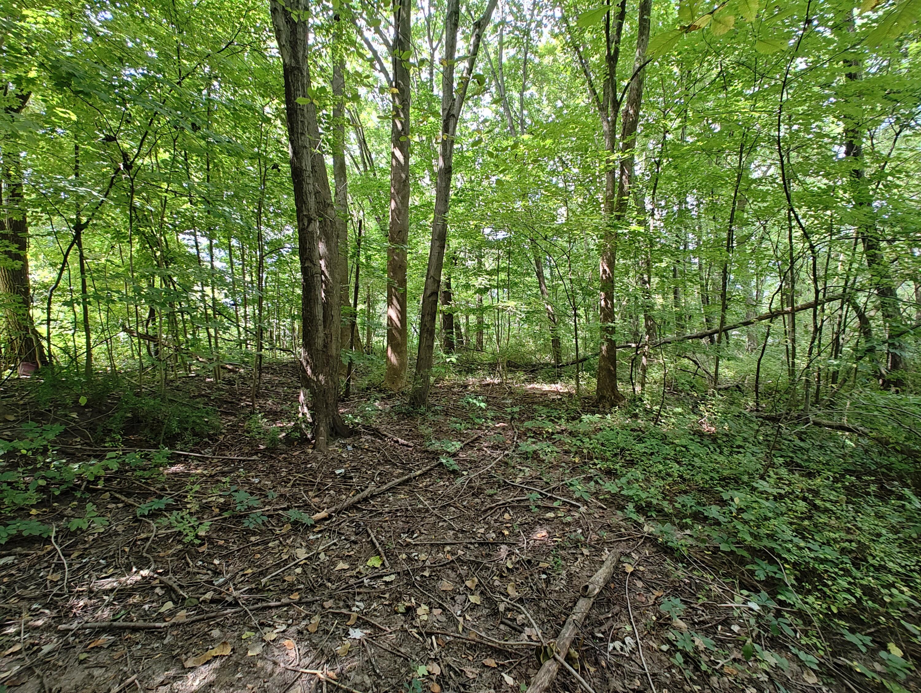 Vl Clinton Road Benton Harbor, MI 49022 - Photo 7 of 13 IMG_20240829_125801599_HDR