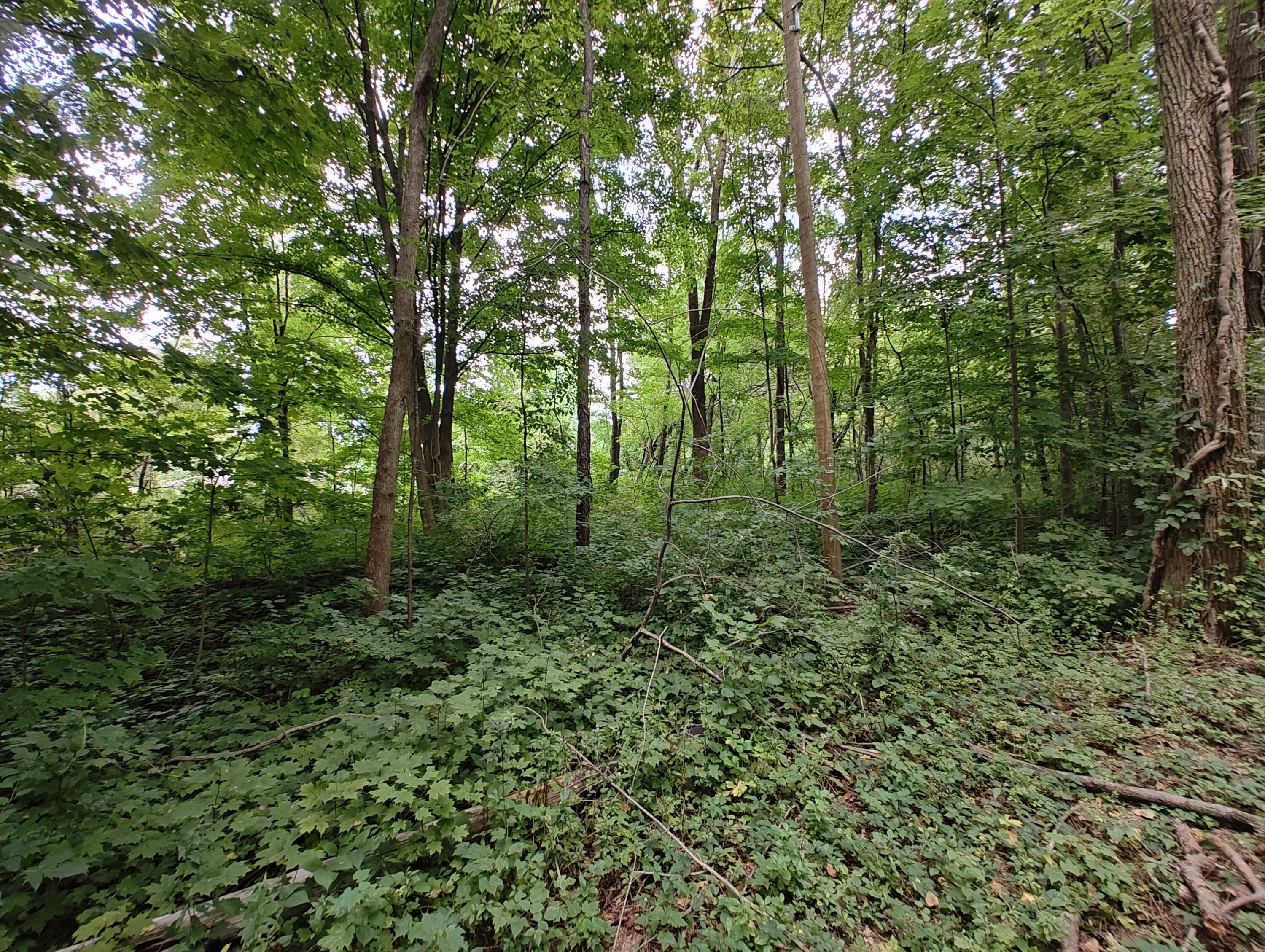 Vl Clinton Road Benton Harbor, MI 49022 - Photo 9 of 13 IMG_20240829_130526652_HDR