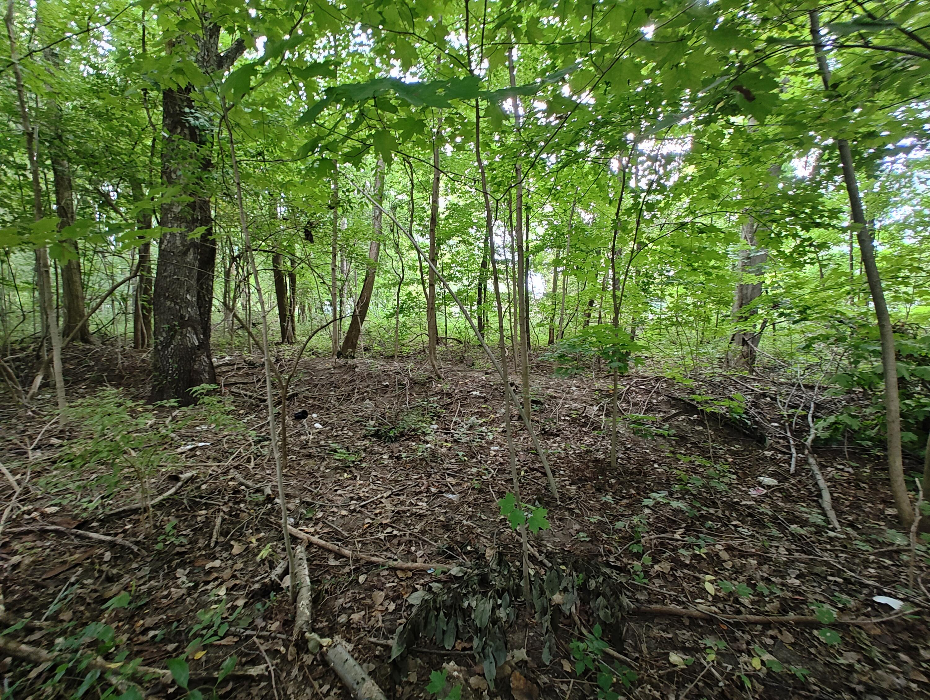 Vl Clinton Road Benton Harbor, MI 49022 - Photo 10 of 13 IMG_20240829_130544073_HDR