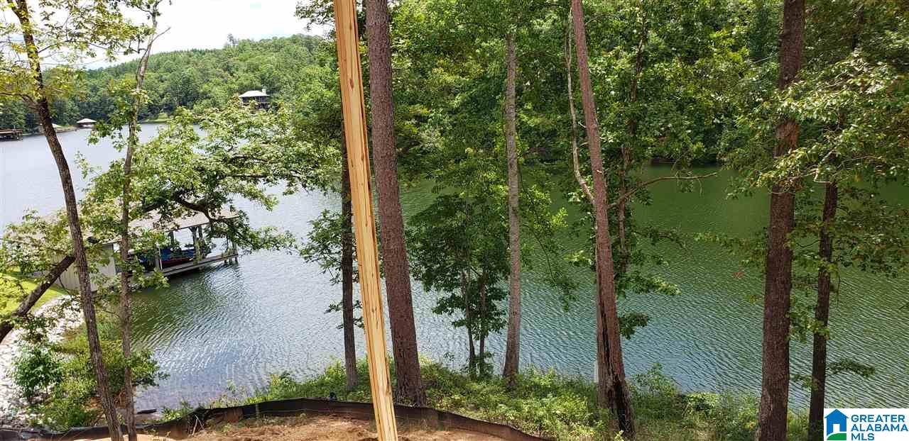 1100 Preserve Road Rockford, AL 35136 - Photo 6 of 18