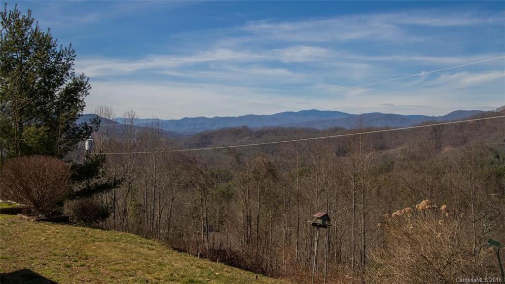 468 Echo Ridge Road Whittier, NC 28789 - Photo 3 of 16 Gallery Image 3