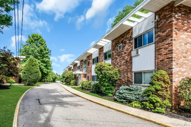 a view of a garden with a pathway