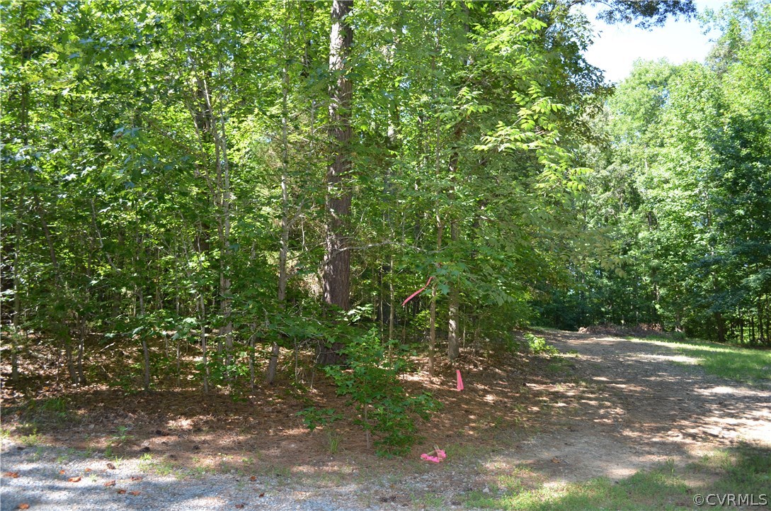 1006 Schroeder Road Powhatan, VA 23139 - Photo 28 of 30 The back property line