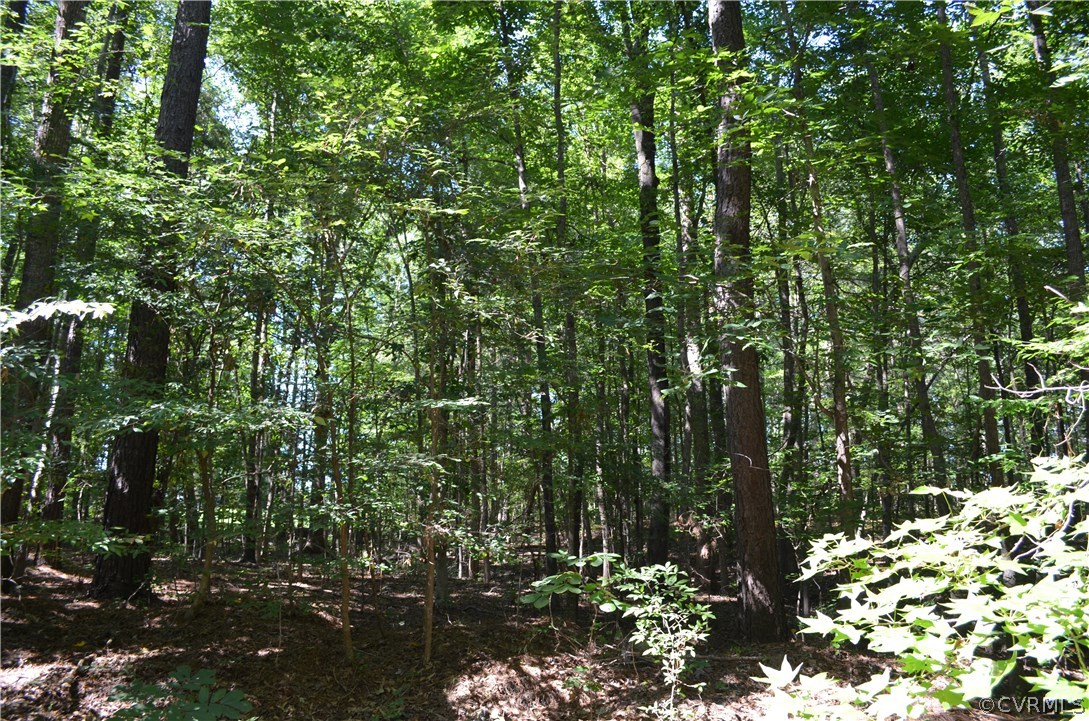 1006 Schroeder Road Powhatan, VA 23139 - Photo 30 of 30 More woods behind the home. You've got about 2-3