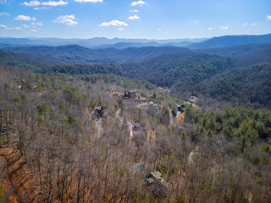 101 Falling Rock Road Blue Ridge, GA 30513 - Photo 54 of 64