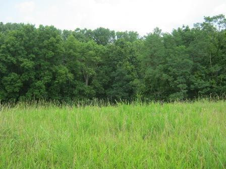 1354 Birdie Road Lawrenceburg, KY 40342 - Photo 28 of 55 Photo 28